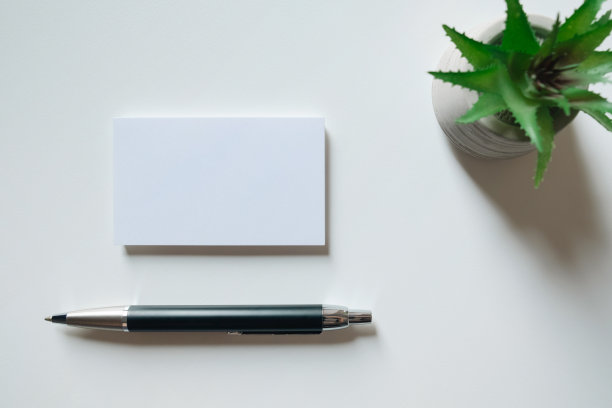 白色空白名片模型，笔和仙人掌在白色的背景。模拟演示。图片下载