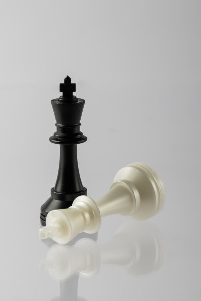 两个国际象棋国王黑白特写在白色的背景与反射图片下载