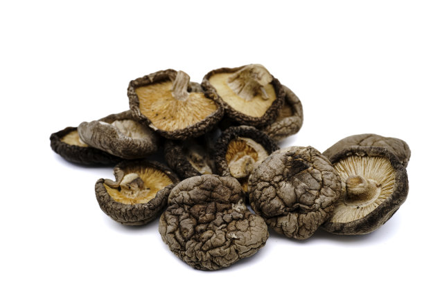 干香菇分离在白色背景与复制空间。特写镜头。图片下载