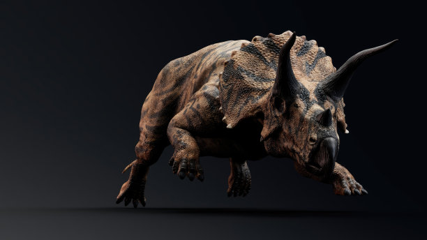 三角龙的姿态渲染背景。三维渲染图片下载