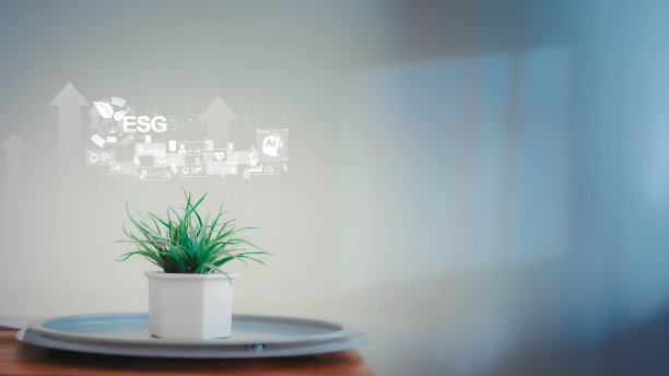 以可再生能源求可持续发展，以绿色能源求生态发展。社会、治理和影响力投资。可持续、资金、物联网、能源、人工智能、文字自由空间。图片下载