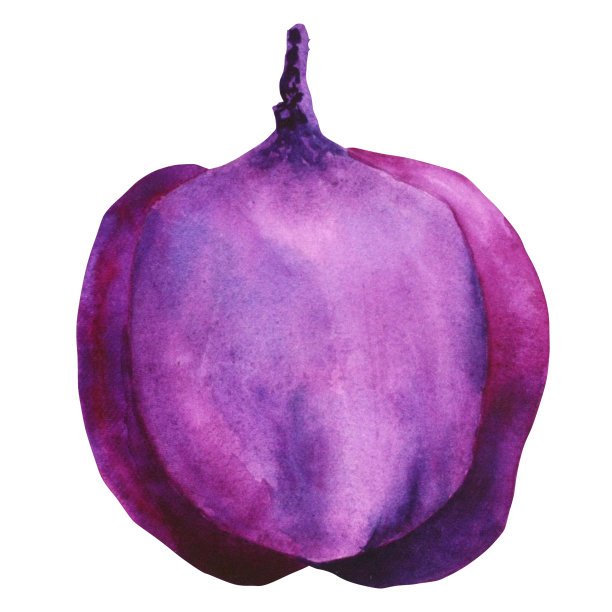 藜芦黑色。水彩植物芽黑色和紫色。手绘卡片，请柬，纺织品和纸制品图片下载