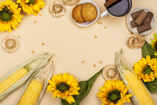 巴西六月派对背景图片下载