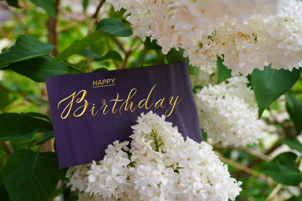 明信片，互联网的横幅，平铺着生日的问候，用题词——生日快乐图片下载