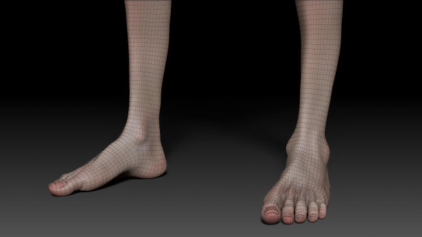 女性身体anotomoy雕刻姿势渲染的背景。三维渲染图片下载