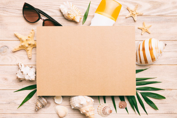夏季时间的概念与空白的贺卡和彩色背景上的空白工艺纸。从海洋海岸的贝壳在框架的形状，与文字顶视图的空间分开图片下载