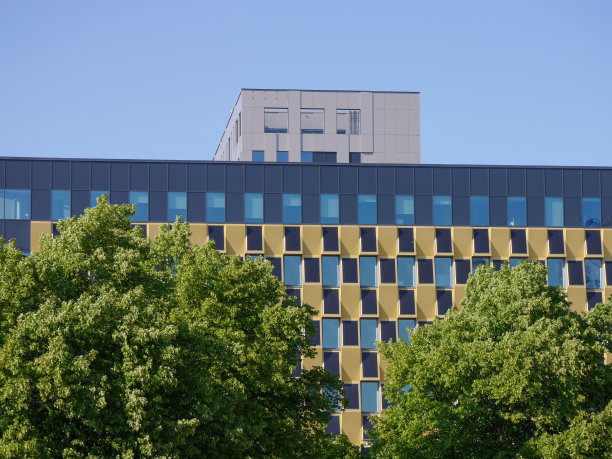 树木和建筑物对着天空的低角度视图图片下载