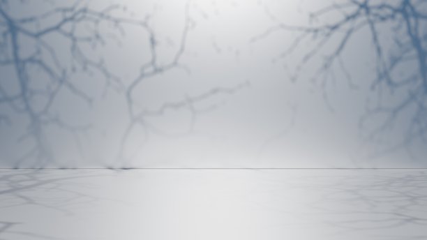 化妆品展示的自然美讲台背景。时尚美背景配上淡淡的枝影纹理。三维渲染图片下载