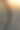 以松林和日落为背景的自行车车轮。图片下载