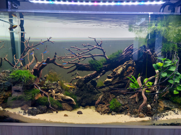 Aqua逃脱图片下载