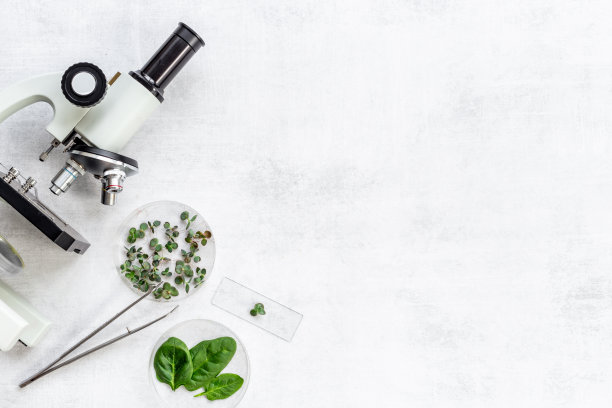 化学实验室植物供应。植物的显微镜研究图片下载