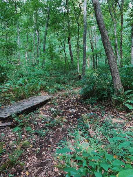 隐藏逃脱图片下载