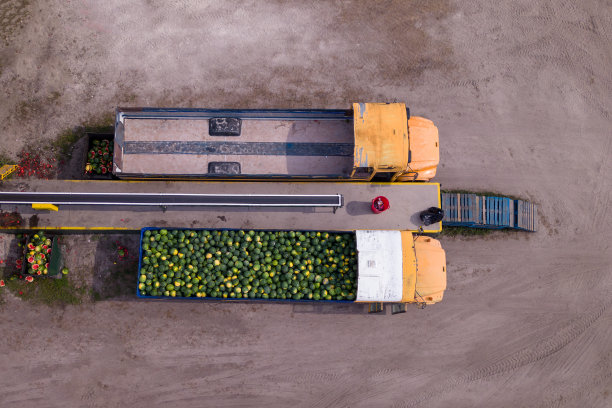西瓜收获运输鸟瞰图图片下载