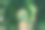 手持放大镜与二氧化碳减少图标里面。清洁友好的环境，不排放二氧化碳。碳信用额度限制气候变化导致的全球变暖。碳中性的。图片下载