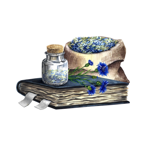 矢车菊，草药，干燥，压碎，装入麻袋。一个旧食谱书上的玻璃瓶。水彩手绘插图。隔离。用于横幅，传单，海报，产品包装。图片下载