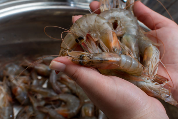 一个男人手里拿着虾图片下载