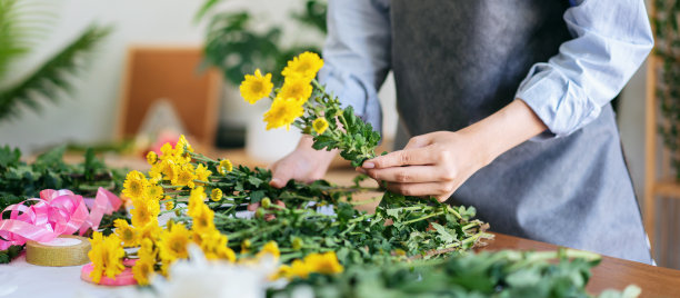 围裙里的女花商正在挑选黄菊创作图片下载
