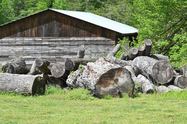 棚子和大圆木图片下载