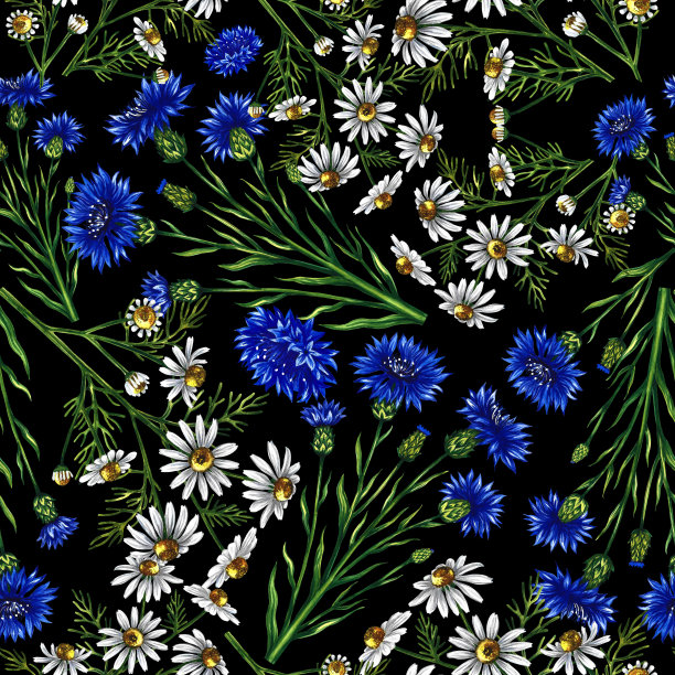 无缝图案与野花洋甘菊和矢车菊。水彩手绘插图。黑色背景。为背景、包装、标签和纺织品提供设计解决方案。图片下载