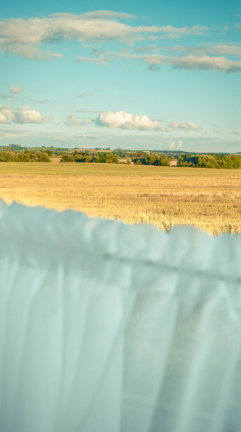 外面阳光灿烂的地方。图片下载