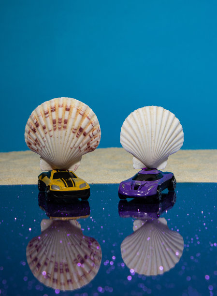 两辆带贝壳的汽车在沙滩上反射，创意夏日概念图片下载