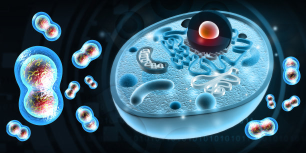 细胞解剖学。科学背景图片下载
