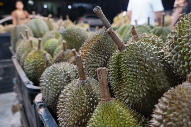 篮子里的榴莲图片下载