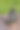 硬币与俄罗斯卢布符号和古董怀表图片下载