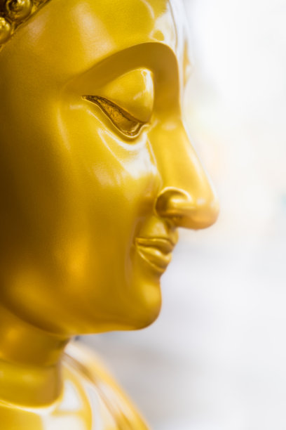 金佛头图片下载