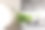 带有绿色植物的现代办公室内部图片下载