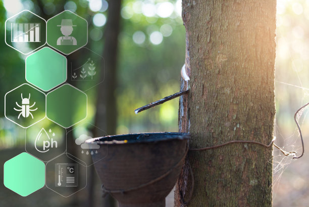 农场树上的杯子里装着橡胶图片下载