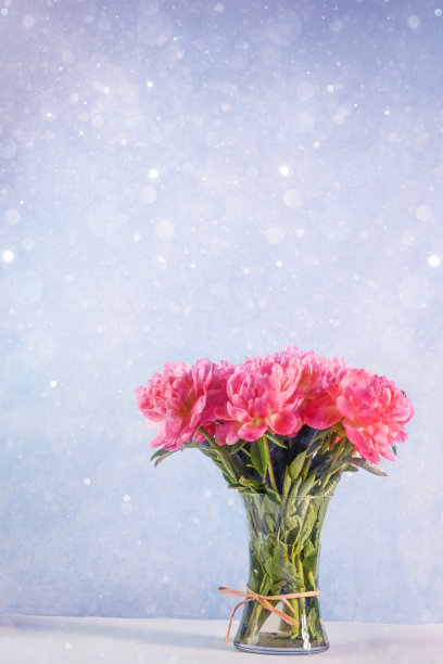 牡丹花朵图片下载