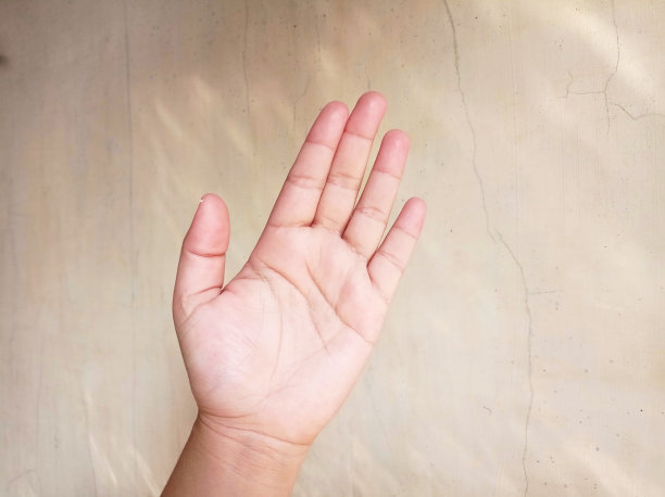 亚洲女性手掌图片下载