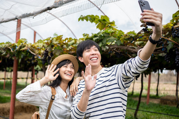 一对游客夫妇在葡萄园里快乐地生活。图片下载