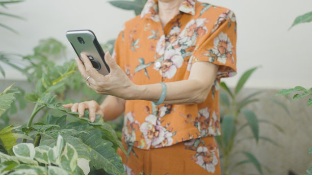 亚洲老年妇女用手机拍摄她家里的室内植物，健康的生活方式和简单的生活方式图片下载