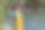 迷人的女人在秋天的背景下摆姿势拍照。图片下载