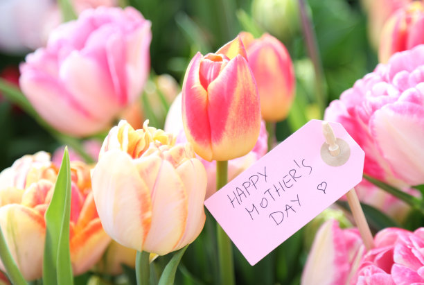 带礼品标签的郁金香图片下载