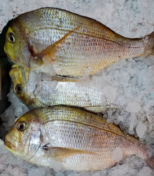 眼神交流图片下载