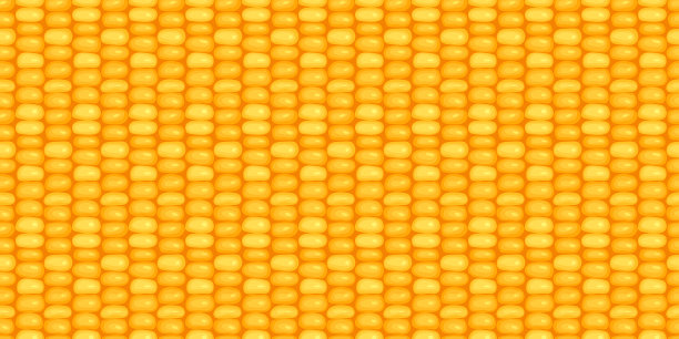 玉米粒无缝纹理背景banner图片下载