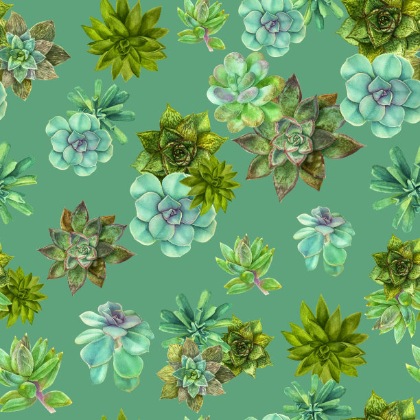 图案以优雅的多肉、水彩效果、手绘、植物画为设计。模板包装和贴纸。元素设计的邀请，电影海报，面料。图片下载