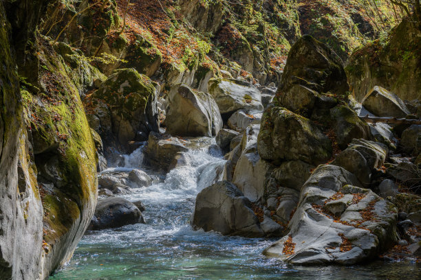 西泽峡谷里长得像青蛙的岩石图片下载
