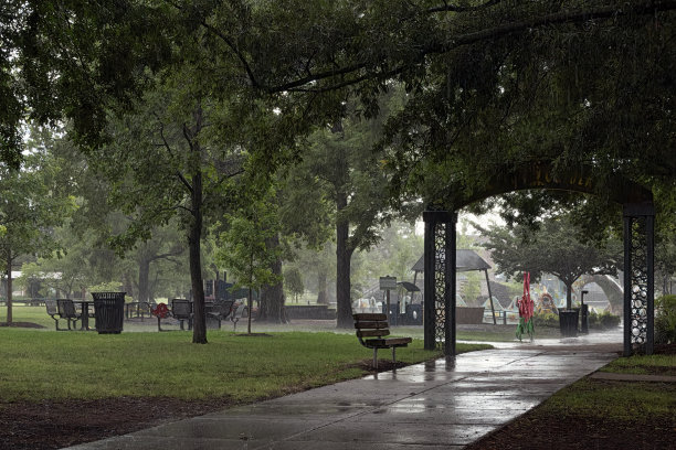 公园里的雨图片下载