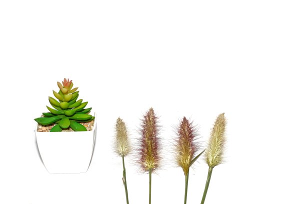 四朵花和叶子的颜色是绿色的。图片下载