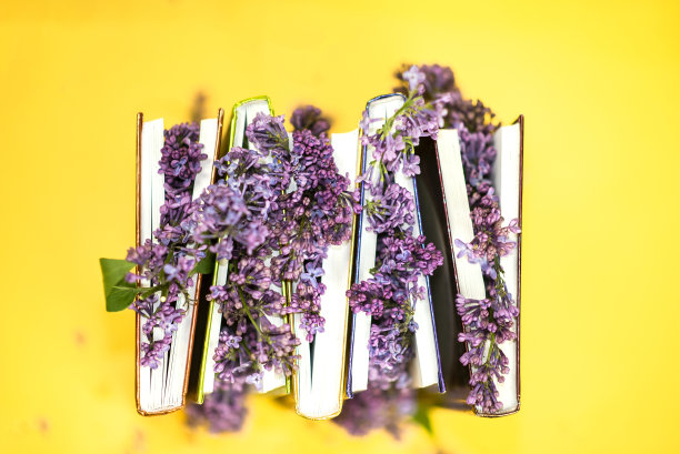 以花为书签的书，夏天的文学，春天的故事。黄色的图片下载