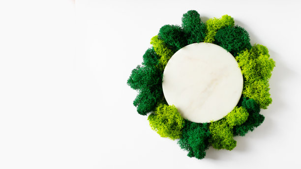 生态和美丽的概念，大理石平台和苔藓在白色的背景图片下载