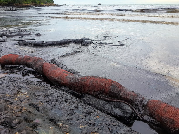 泰国罗勇府海域原油泄漏事故，志愿者清理沙滩图片下载