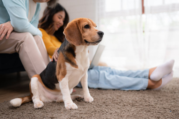 家庭度假，母亲，女儿和小猎犬在周末在房子的休闲室放松图片下载