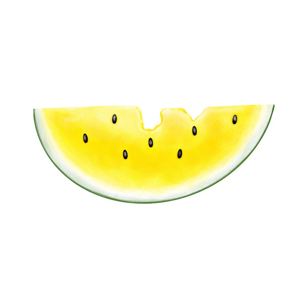 水彩黄色西瓜剪贴画。夏季水果插图孤立的白色背景。图片下载
