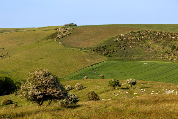 在 Balsdean Bottom 的 South Downs 看到的初夏景色，头顶是蓝天图片下载