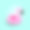 2023 - 311矢量-背景-夏天火烈鸟橡胶ring-pink-19图片下载